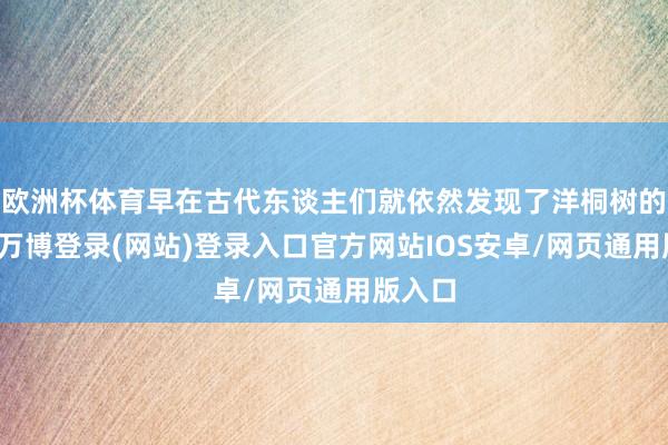 欧洲杯体育早在古代东谈主们就依然发现了洋桐树的价值-万博登录(网站)登录入口官方网站IOS安卓/网页通用版入口