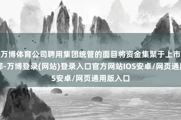 万博体育公司聘用集团统管的面目将资金集聚于上市公司本部-万博登录(网站)登录入口官方网站IOS安卓/网页通用版入口