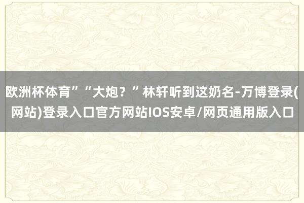 欧洲杯体育”“大炮？”林轩听到这奶名-万博登录(网站)登录入口官方网站IOS安卓/网页通用版入口